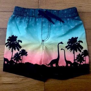 Baby boy swim trunks